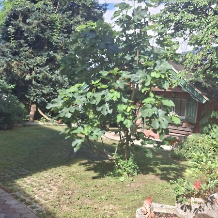 Ganzes Haus Mit Almcharakter Villa Lieserbrücke Екстериор снимка
